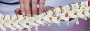 Why Does My Back Crack?